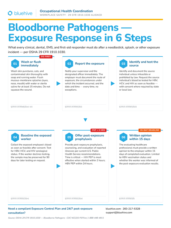 Preview of Bloodborne Pathogens Exposure Response Poster