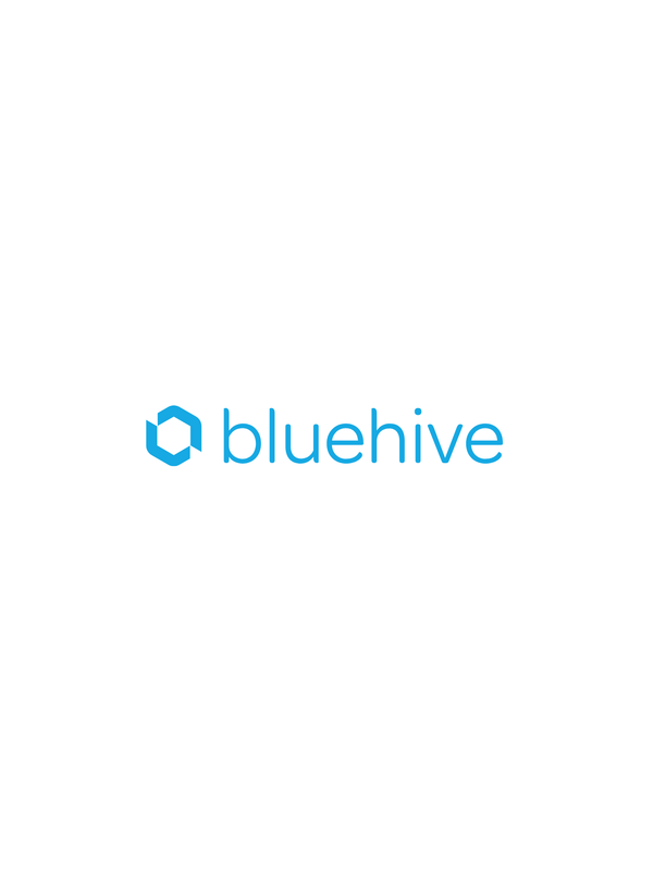 BlueHive General Information Packet — page 2