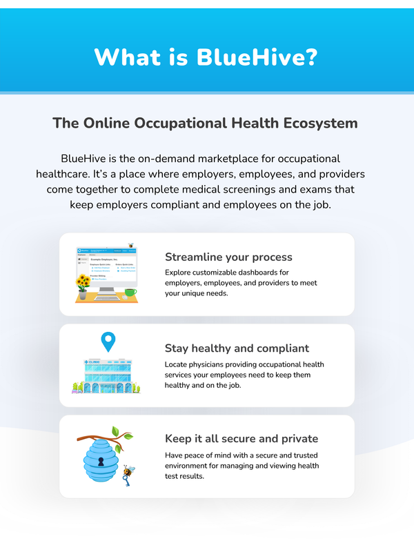 BlueHive General Information Packet — page 4