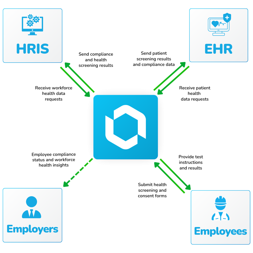 Diagram showing BlueHive integrations with HRIS, EHR, employers, and employees